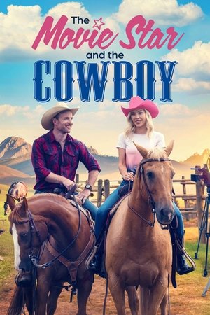 Watch Free Rancher 101 (2023)