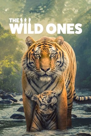 Watch Free The Wild Ones (2025-)
