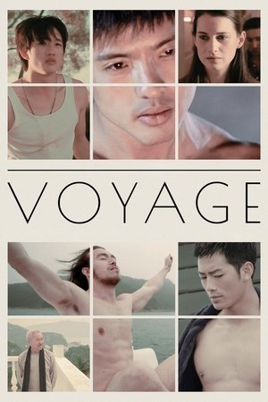 Watch Free Voyage (2013)
