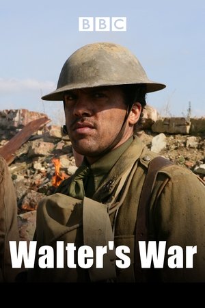 Watch Free Walters War (2008)