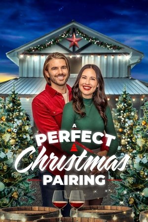 Watch Free A Perfect Christmas Pairing (2023)