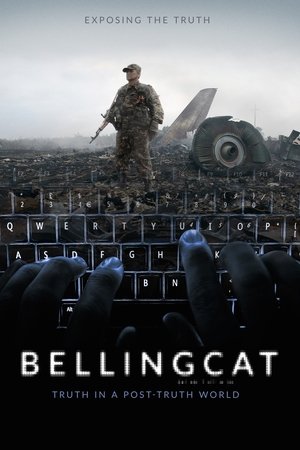 Watch Free Bellingcat: Truth in a PostTruth World (2018)
