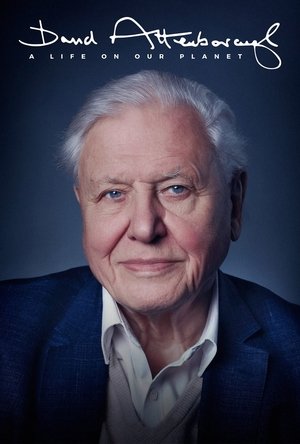 Watch Free David Attenborough: A Life on Our Planet (2020)