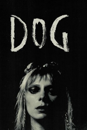 Watch Free Dog (2024)