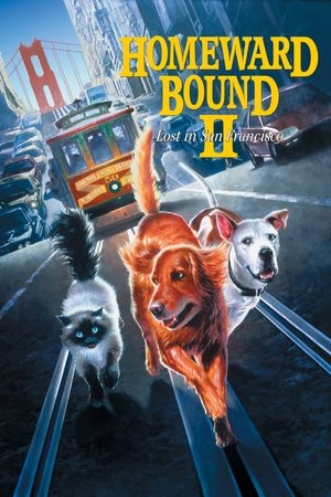 Watch Free Homeward Bound II: Lost in San Francisco (1996)