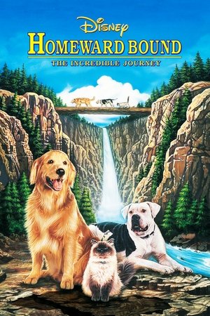 Watch Free Homeward Bound: The Incredible Journey (1993)