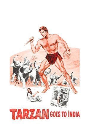 Watch Free Tarzan Goes to India (1962)