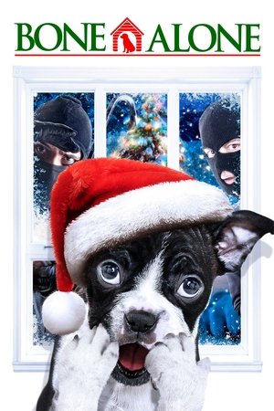 Watch Free Alone for Christmas 2013