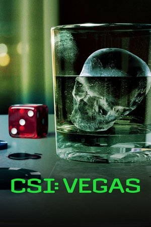 Watch Free CSI: Vegas (2021 )