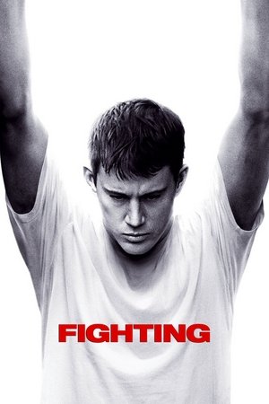 Watch Free Fighting (2009)