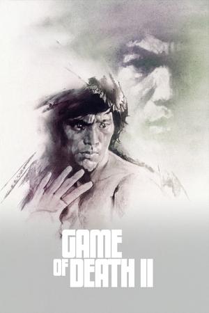 Watch Free Game of Death II (1981)