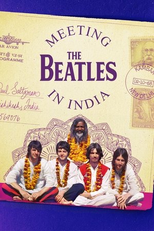 Watch Free Meeting the Beatles in India (2020)
