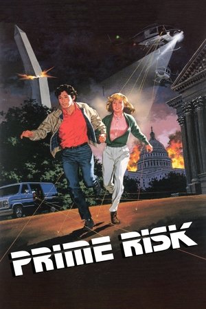 Watch Free Prime Risk (1985)