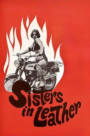 Watch Free Sisters in Leather (1969)
