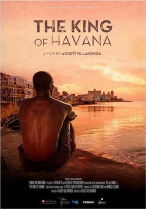 Watch Free The King of Havana (2015)