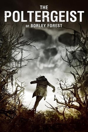 Watch Free The Poltergeist of Borley Forest (2013)