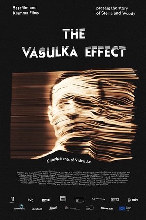 Watch Full Movie: The Vasulka Effect (2019)