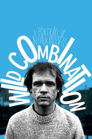 Watch Free Wild Combination: A Portrait of Arthur Russell (2008)