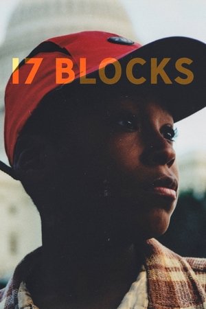 Watch Free 17 Blocks (2019)