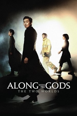 Watch Free Along with the Gods: The Two Worlds (2017)