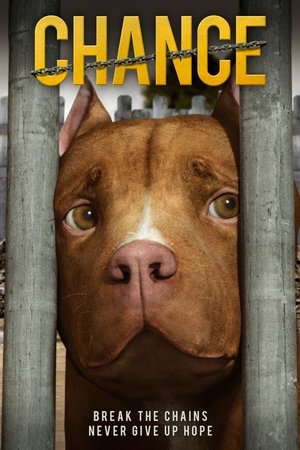 Watch Full Movie: Chance (2019)