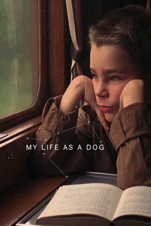 Watch Free My Life as a Dog (1985)