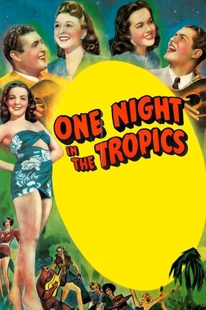 Watch Free One Night in the Tropics (1940)