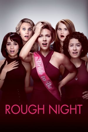 Watch Free Rough Night (2017)