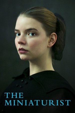Watch Free The Miniaturist (2017)