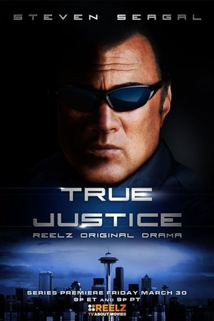 Watch Free True Justice (20102012)
