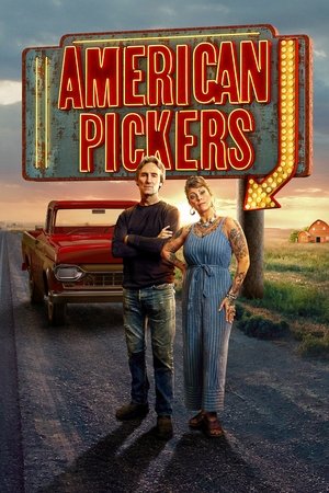 Watch Free American Pickers (2010-)