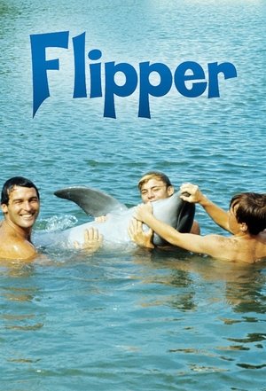 Watch Free Flipper (1964-1967)