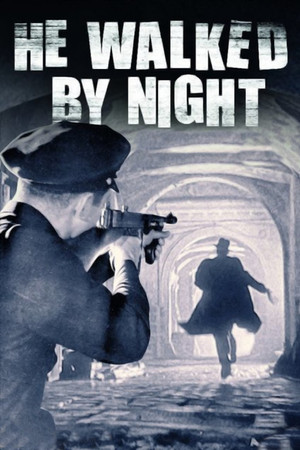 Watch Free He Walked by Night (1948)