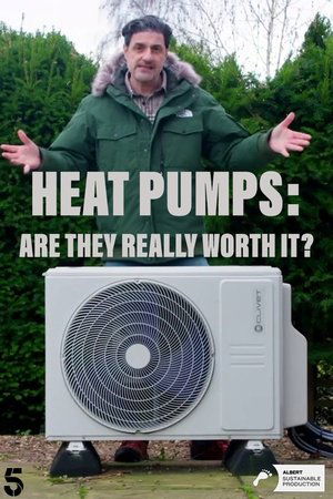 Watch Free Heat Pumps Are They Really Worth It (2025)