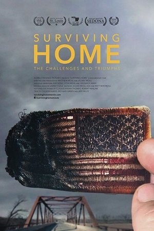 Watch Full Movie: Surviving Home (2017)