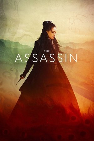 Watch Free The Assassin (2015)