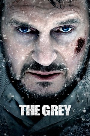 Watch Free The Grey (2011)