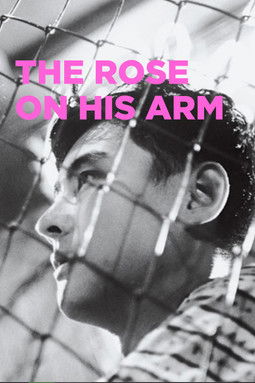 Watch Free The Rose on His Arm (1956)