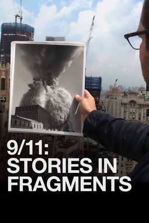 Watch Free 911 Stories in Fragments (2011)