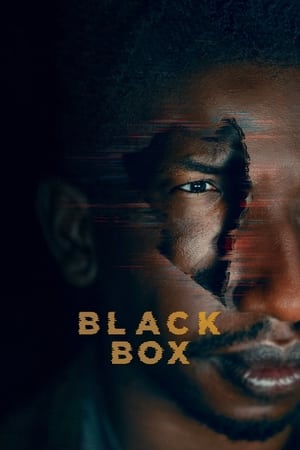 Watch Free Black Box (2020)