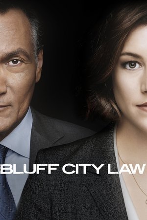 Watch Free Bluff City Law (2019 )