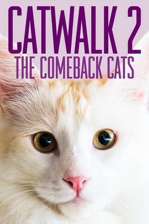 Watch Free Catwalk 2 The Comeback Cats (2022)