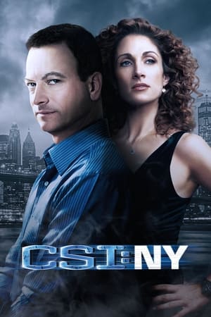 Watch Free CSI: NY (20042013)