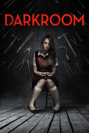 Watch Free Darkroom (2013)