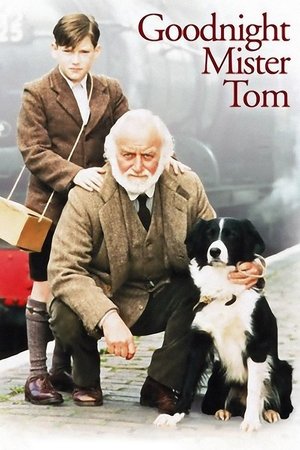 Watch Free Goodnight, Mister Tom 1998