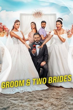 Watch Free Groom Two Brides (2025)