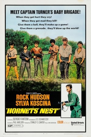 Watch Free Hornets Nest (1970)
