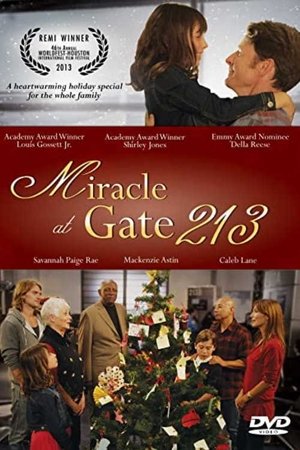 Watch Free Miracle at Gate 213 (2013)