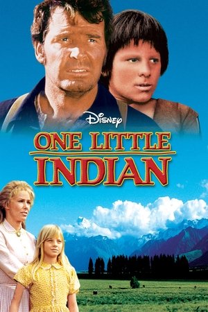 Watch Free One Little Indian (1973)