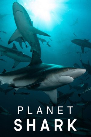 Watch Free Planet Shark (2022-)